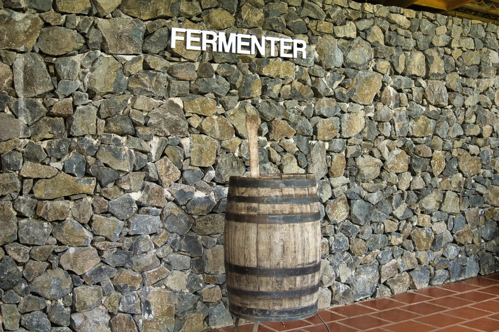 A Rum Tasting Experience — photo 3