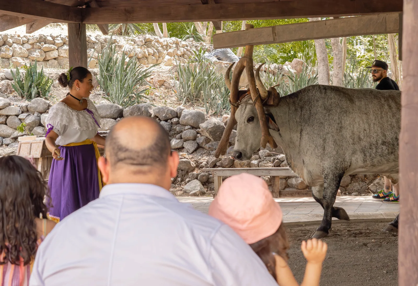 Hacienda El Viejo · 1 activity with lunch — photo 1