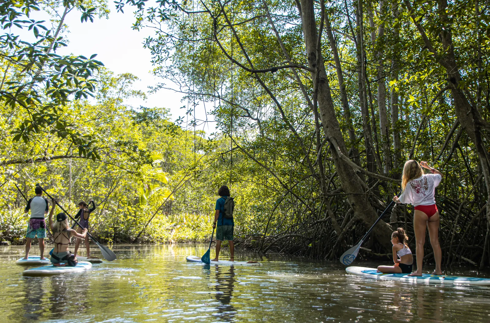 Islas Damas Paddle Board — photo 3