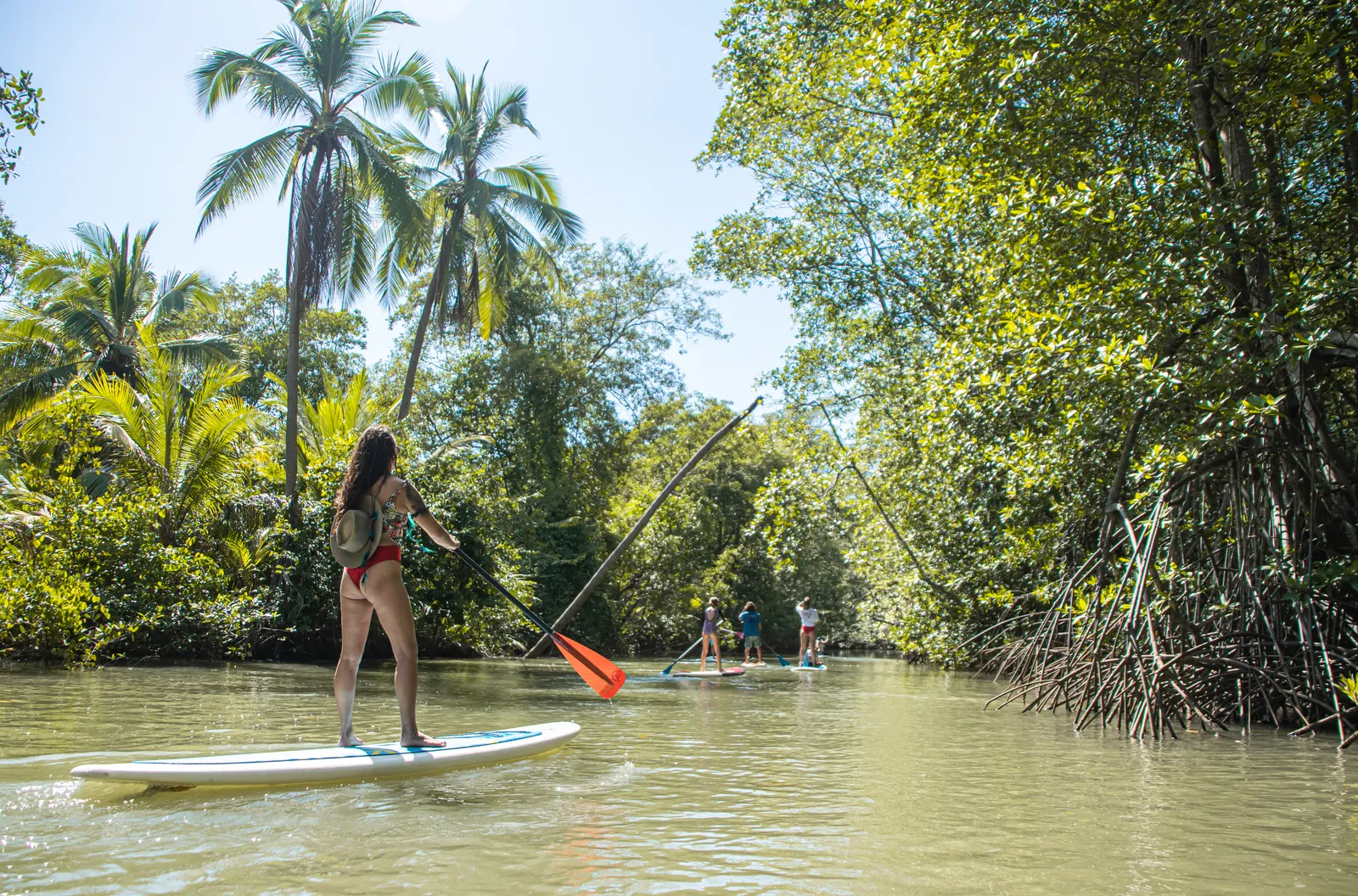 Islas Damas Paddle Board — photo 1
