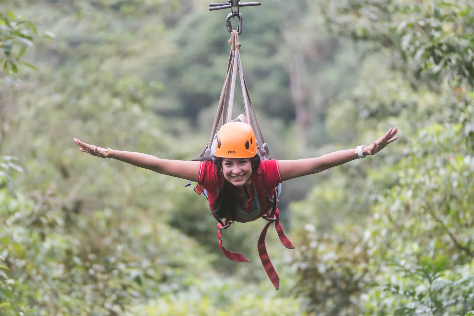 Cloud Forest Canopy at San Luis