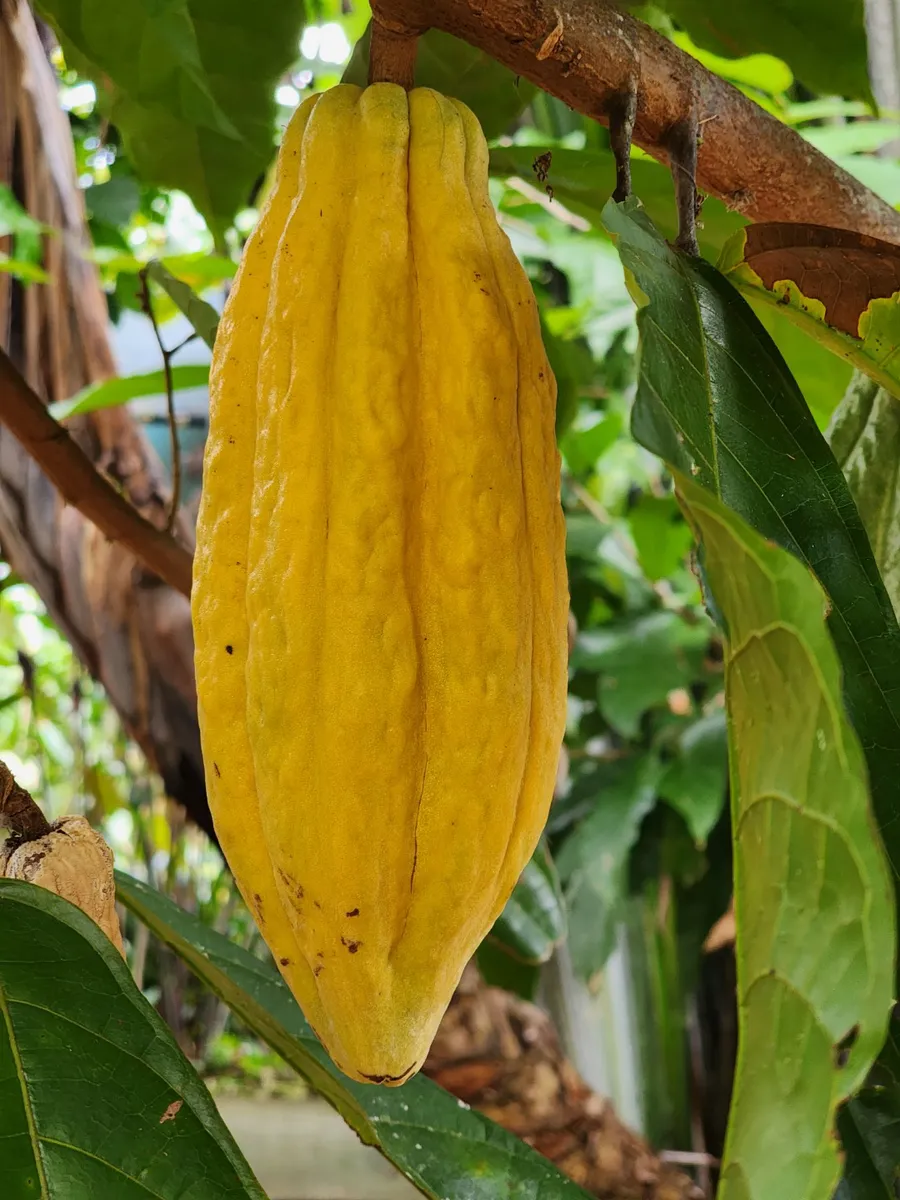 Nature Wildlife Float + Chocolate Tour — photo 2